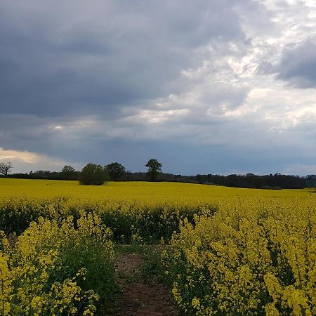Ferienwohnung In Ostseenaehe Grevesmuhlen Bagian luar foto