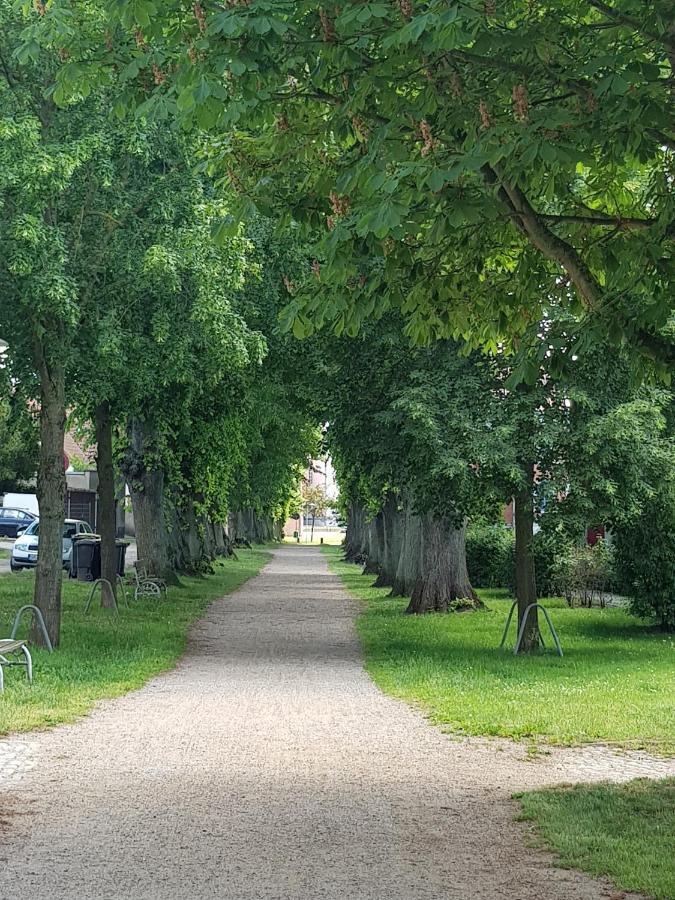 Ferienwohnung In Ostseenaehe Grevesmuhlen Bagian luar foto