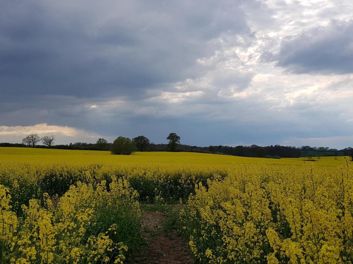 Ferienwohnung In Ostseenaehe Grevesmuhlen Bagian luar foto